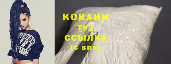 МДПВ Пересвет