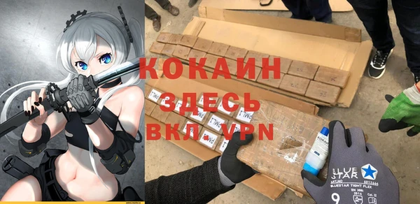 стаф Осинники