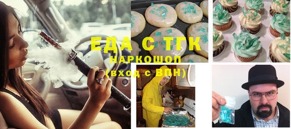 МДПВ Пересвет