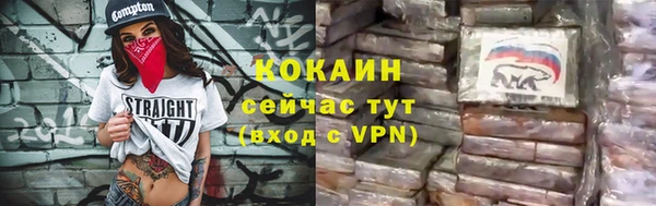 МДПВ Пересвет