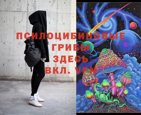 стаф Осинники
