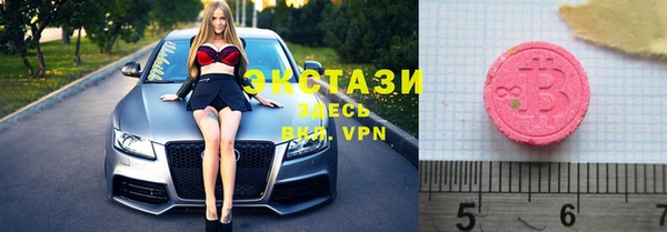 стаф Осинники