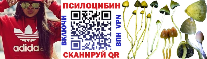 Псилоцибиновые грибы ЛСД  цены   omg как войти  Кола 
