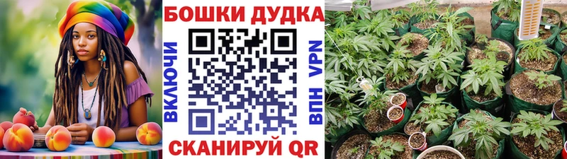 Канабис Ganja закладка Кола